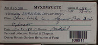 Image Associated With the Occurence